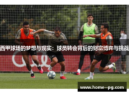 西甲球场的梦想与现实：球员转会背后的财富博弈与挑战