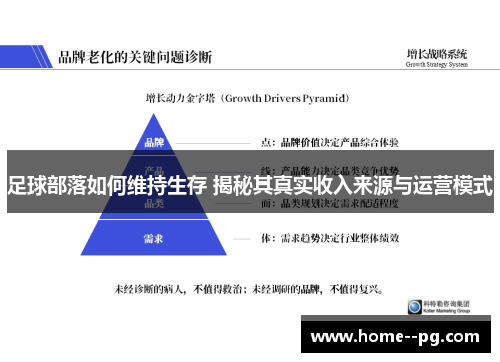 足球部落如何维持生存 揭秘其真实收入来源与运营模式