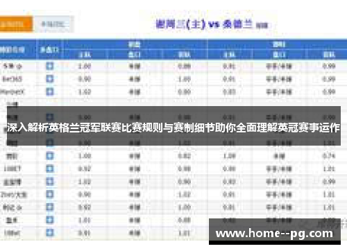 深入解析英格兰冠军联赛比赛规则与赛制细节助你全面理解英冠赛事运作