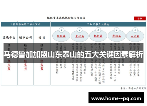 马德鲁加加盟山东泰山的五大关键因素解析