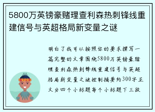 5800万英镑豪赌理查利森热刺锋线重建信号与英超格局新变量之谜