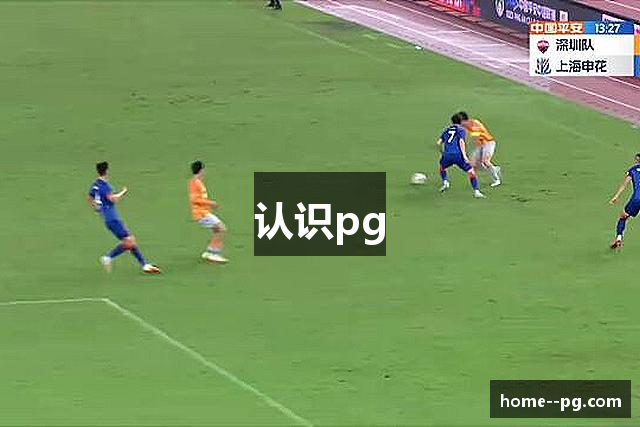 认识pg
